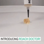Cockroach Killing Gel