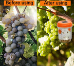 Solar-Powered Wasp Trap