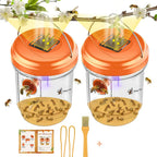 Solar-Powered Wasp Trap